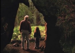 Saving the Redwoods 30 Second Commercial – Produced by Wakan Films