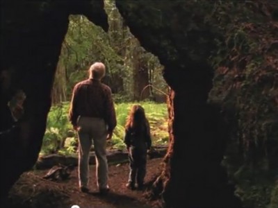 Saving the Redwoods 30 Second Commercial – Produced by Wakan Films